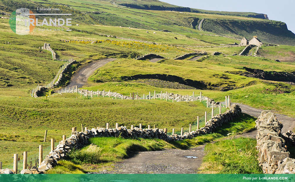 Paysage irlandais dans le comté de Clare