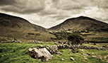 Paysage irlandais dans le comté de Kerry