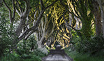 The Dark Hedges sur le comté d'Antrim